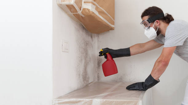 Professional Bathroom Mold Removal technician working in Patton, PA
